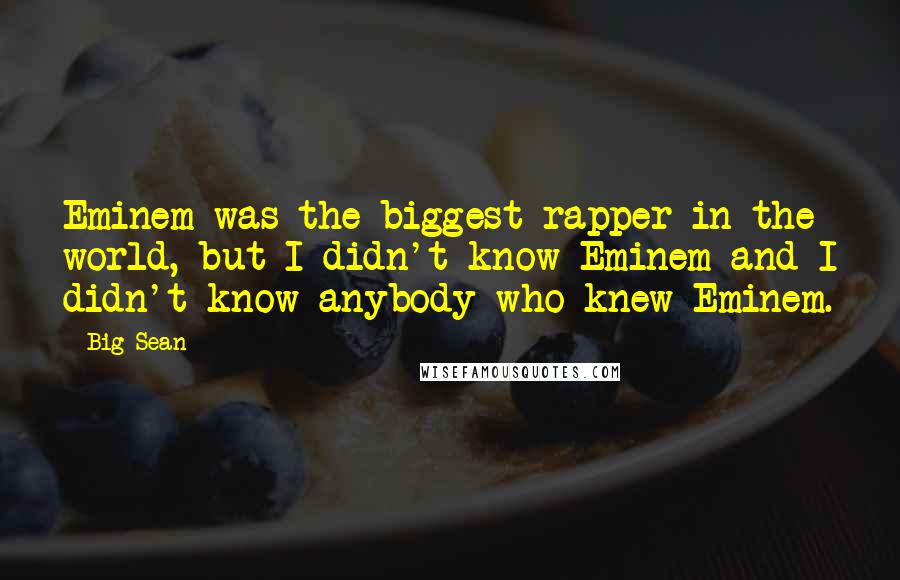 Big Sean Quotes: Eminem was the biggest rapper in the world, but I didn't know Eminem and I didn't know anybody who knew Eminem.