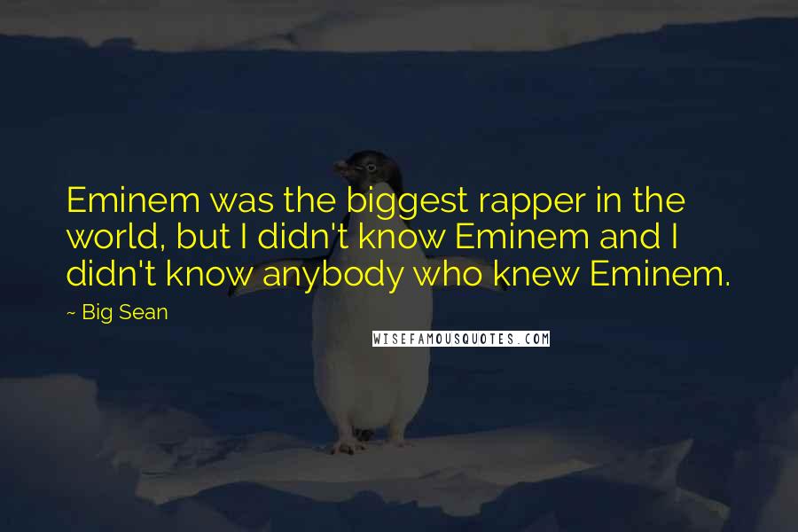 Big Sean Quotes: Eminem was the biggest rapper in the world, but I didn't know Eminem and I didn't know anybody who knew Eminem.