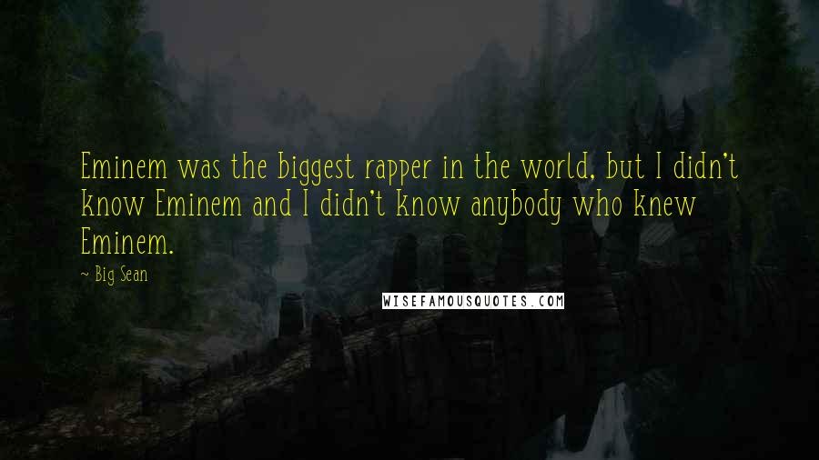 Big Sean Quotes: Eminem was the biggest rapper in the world, but I didn't know Eminem and I didn't know anybody who knew Eminem.