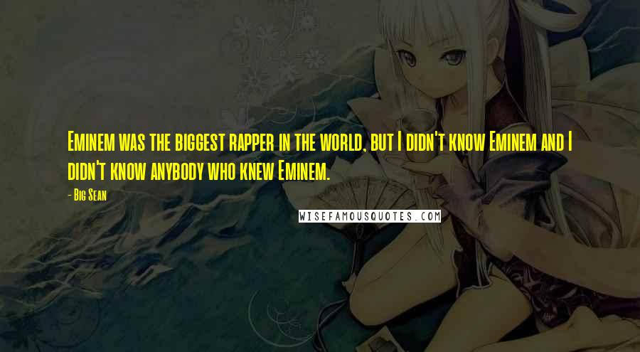 Big Sean Quotes: Eminem was the biggest rapper in the world, but I didn't know Eminem and I didn't know anybody who knew Eminem.