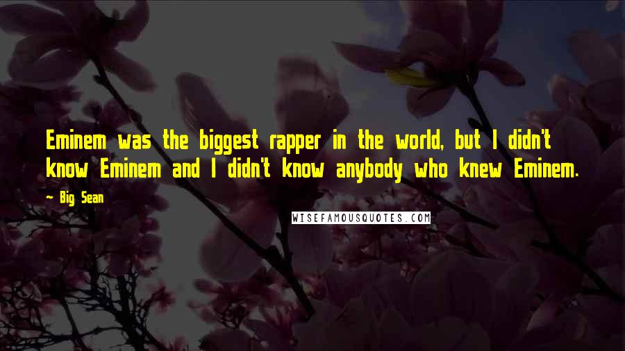 Big Sean Quotes: Eminem was the biggest rapper in the world, but I didn't know Eminem and I didn't know anybody who knew Eminem.