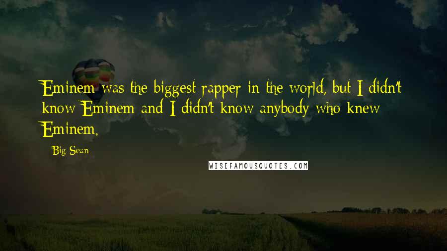 Big Sean Quotes: Eminem was the biggest rapper in the world, but I didn't know Eminem and I didn't know anybody who knew Eminem.