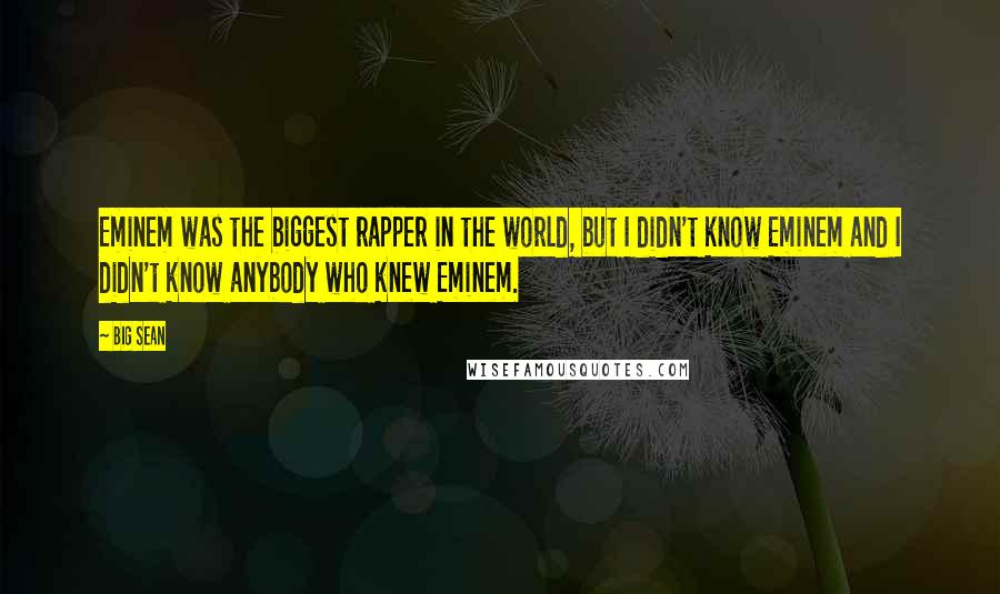 Big Sean Quotes: Eminem was the biggest rapper in the world, but I didn't know Eminem and I didn't know anybody who knew Eminem.