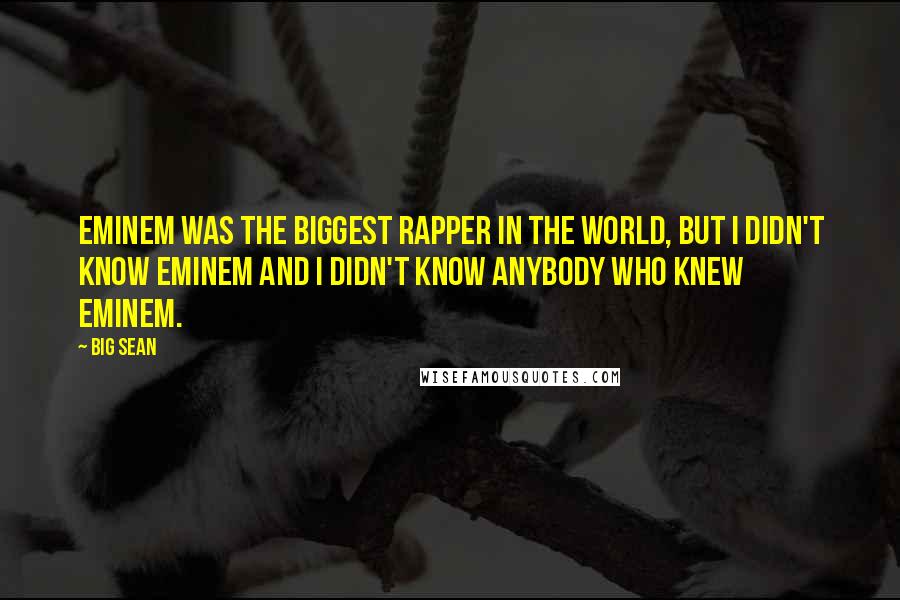 Big Sean Quotes: Eminem was the biggest rapper in the world, but I didn't know Eminem and I didn't know anybody who knew Eminem.