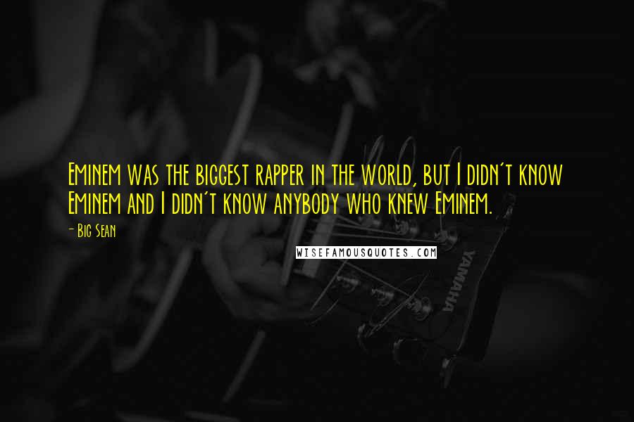 Big Sean Quotes: Eminem was the biggest rapper in the world, but I didn't know Eminem and I didn't know anybody who knew Eminem.