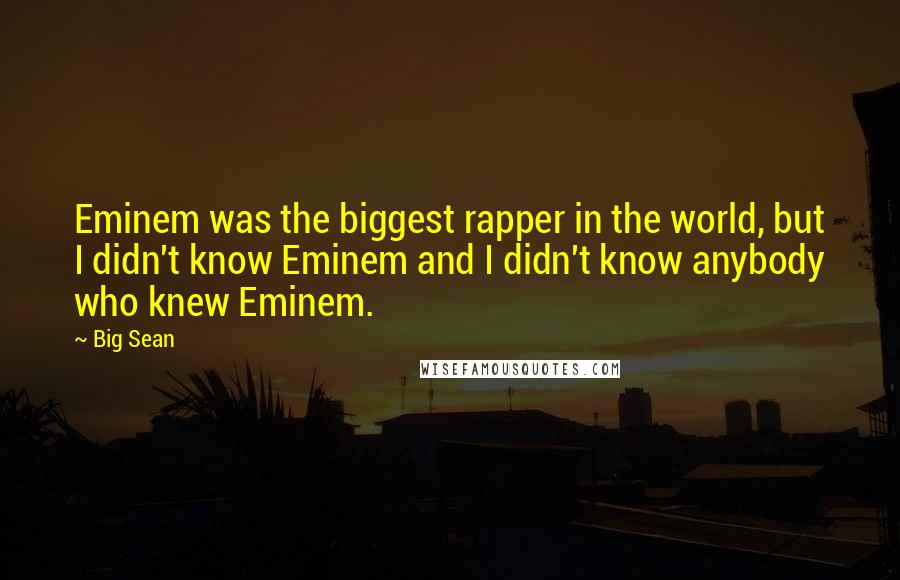 Big Sean Quotes: Eminem was the biggest rapper in the world, but I didn't know Eminem and I didn't know anybody who knew Eminem.