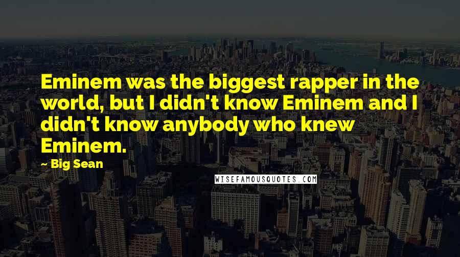 Big Sean Quotes: Eminem was the biggest rapper in the world, but I didn't know Eminem and I didn't know anybody who knew Eminem.