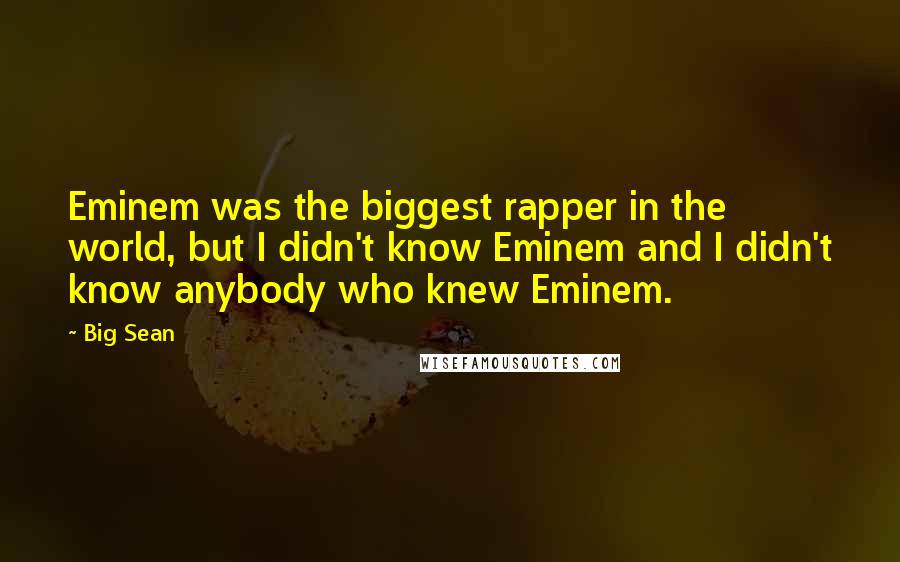 Big Sean Quotes: Eminem was the biggest rapper in the world, but I didn't know Eminem and I didn't know anybody who knew Eminem.