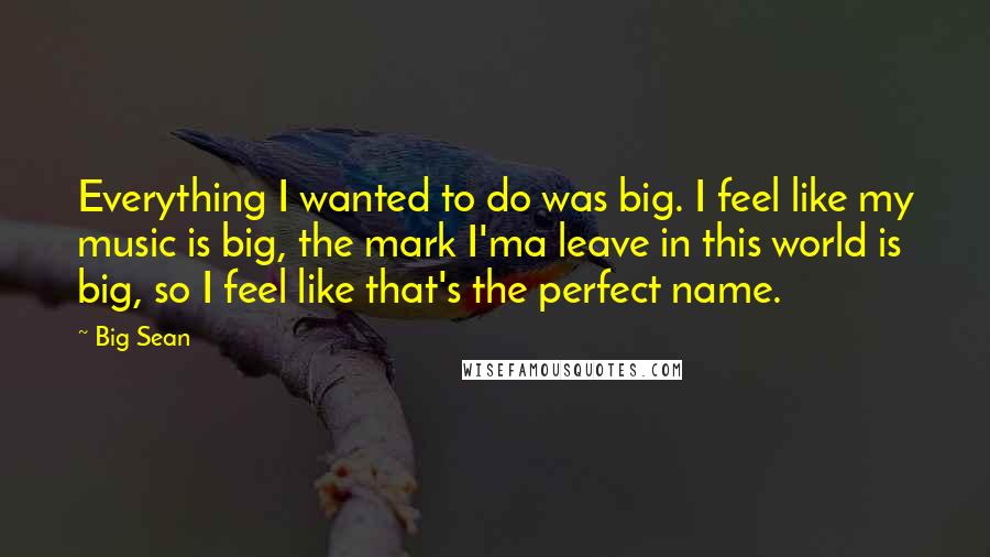Big Sean Quotes: Everything I wanted to do was big. I feel like my music is big, the mark I'ma leave in this world is big, so I feel like that's the perfect name.