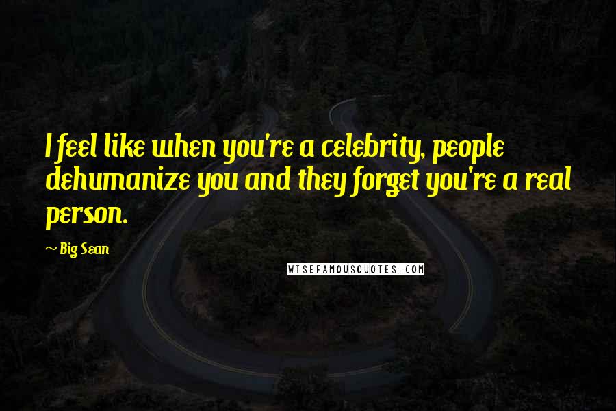 Big Sean Quotes: I feel like when you're a celebrity, people dehumanize you and they forget you're a real person.