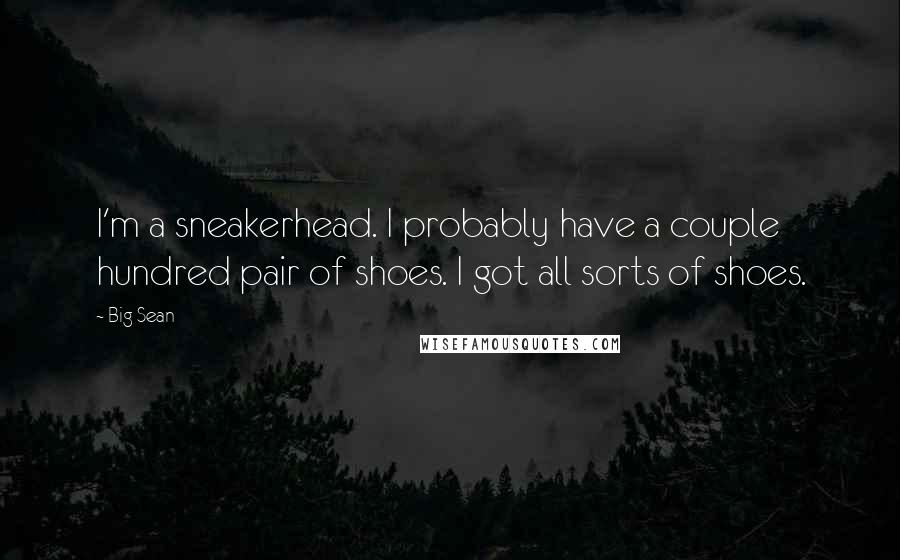 Big Sean Quotes: I'm a sneakerhead. I probably have a couple hundred pair of shoes. I got all sorts of shoes.