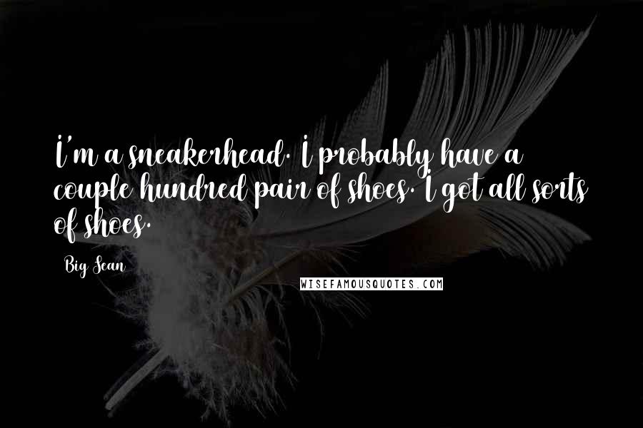 Big Sean Quotes: I'm a sneakerhead. I probably have a couple hundred pair of shoes. I got all sorts of shoes.