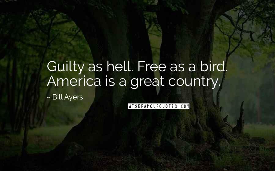 Bill Ayers Quotes: Guilty as hell. Free as a bird. America is a great country.