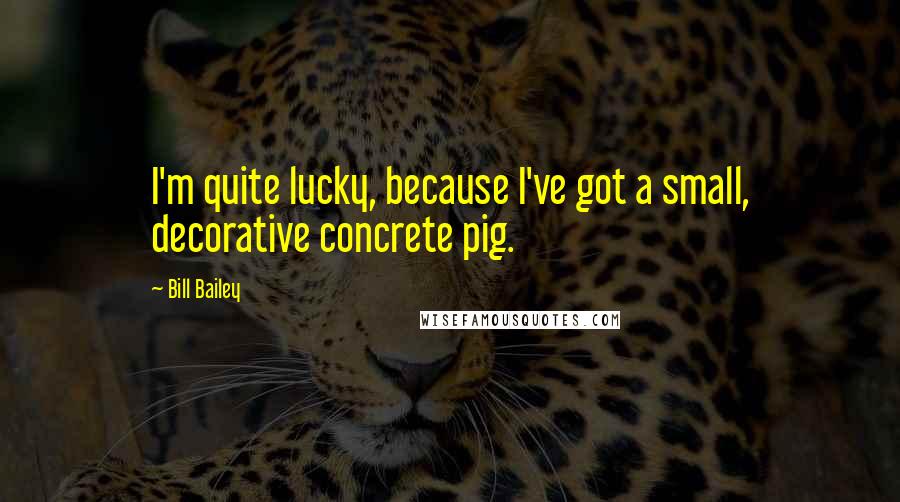 Bill Bailey Quotes: I'm quite lucky, because I've got a small, decorative concrete pig.