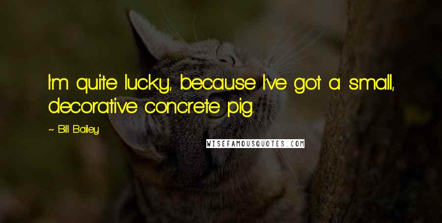 Bill Bailey Quotes: I'm quite lucky, because I've got a small, decorative concrete pig.