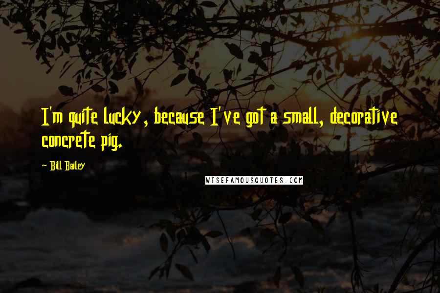 Bill Bailey Quotes: I'm quite lucky, because I've got a small, decorative concrete pig.