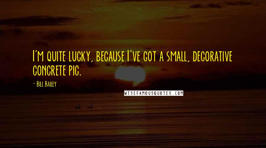 Bill Bailey Quotes: I'm quite lucky, because I've got a small, decorative concrete pig.