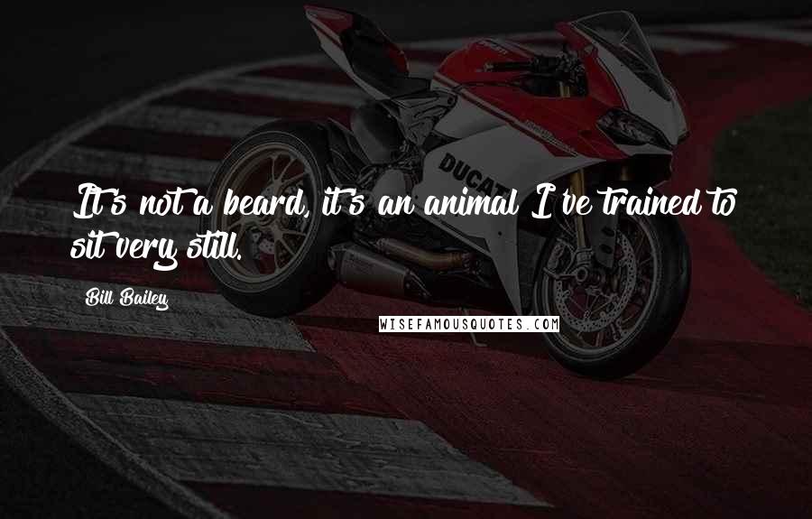 Bill Bailey Quotes: It's not a beard, it's an animal I've trained to sit very still.