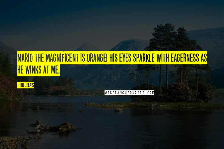 Bill Blais Quotes: Mario the Magnificent is Orange! His eyes sparkle with eagerness as he winks at me.