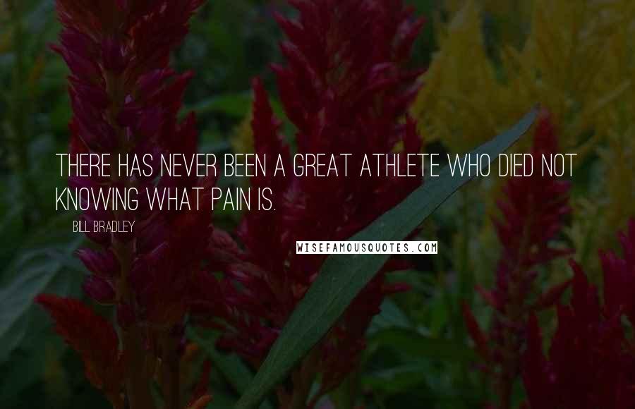 Bill Bradley Quotes: There has never been a great athlete who died not knowing what pain is.