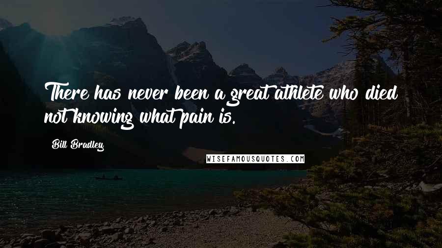 Bill Bradley Quotes: There has never been a great athlete who died not knowing what pain is.