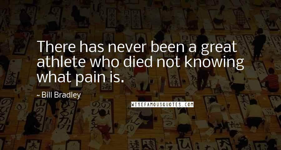 Bill Bradley Quotes: There has never been a great athlete who died not knowing what pain is.