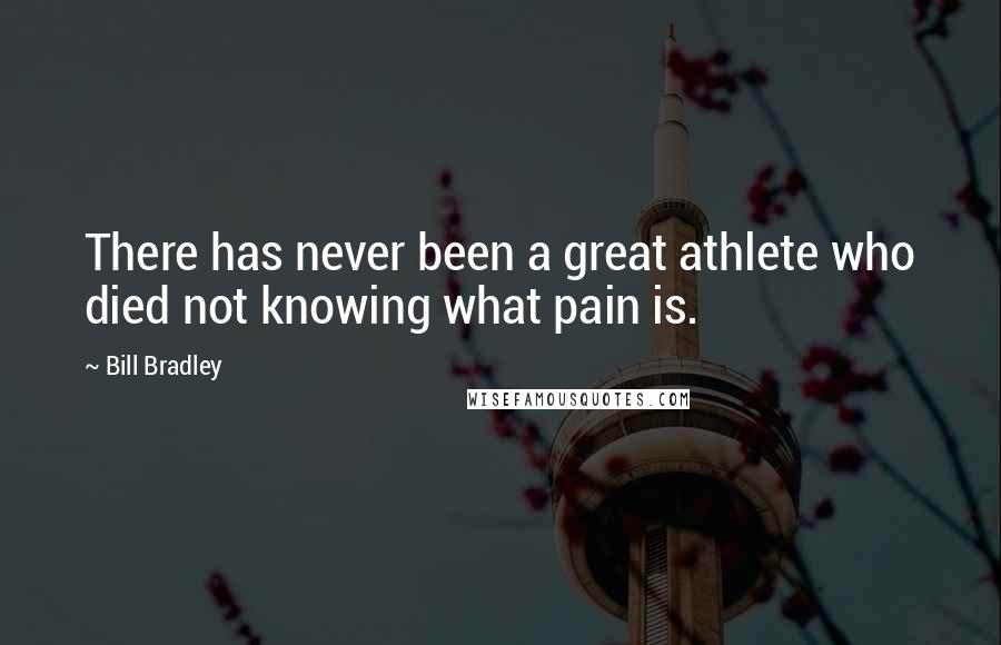 Bill Bradley Quotes: There has never been a great athlete who died not knowing what pain is.