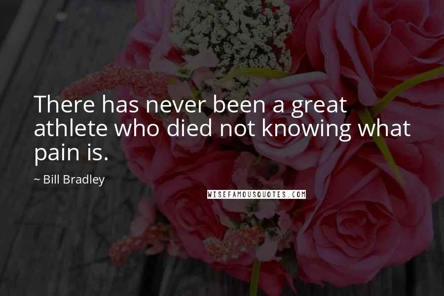 Bill Bradley Quotes: There has never been a great athlete who died not knowing what pain is.