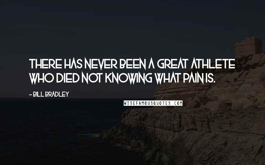 Bill Bradley Quotes: There has never been a great athlete who died not knowing what pain is.