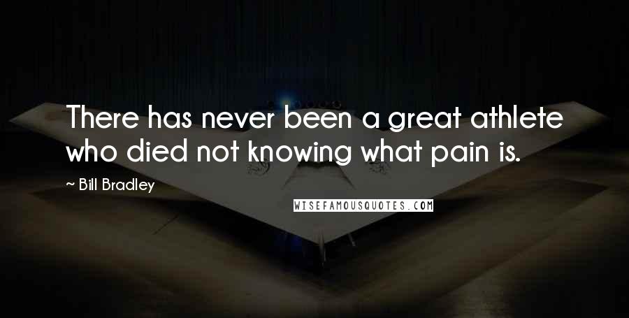 Bill Bradley Quotes: There has never been a great athlete who died not knowing what pain is.