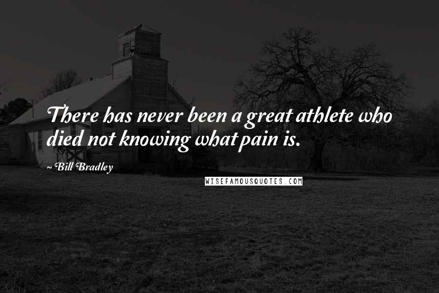 Bill Bradley Quotes: There has never been a great athlete who died not knowing what pain is.