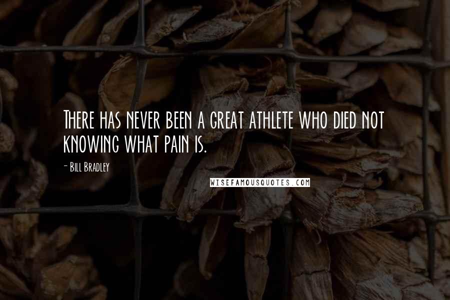 Bill Bradley Quotes: There has never been a great athlete who died not knowing what pain is.