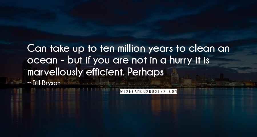 Bill Bryson Quotes: Can take up to ten million years to clean an ocean - but if you are not in a hurry it is marvellously efficient. Perhaps