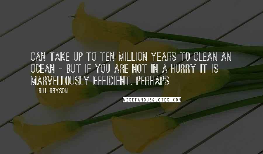 Bill Bryson Quotes: Can take up to ten million years to clean an ocean - but if you are not in a hurry it is marvellously efficient. Perhaps