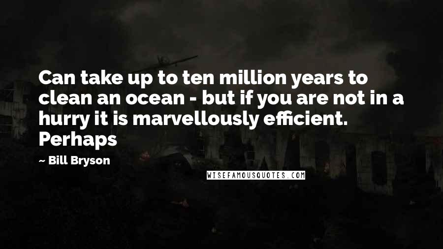 Bill Bryson Quotes: Can take up to ten million years to clean an ocean - but if you are not in a hurry it is marvellously efficient. Perhaps