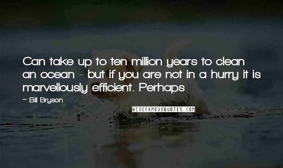 Bill Bryson Quotes: Can take up to ten million years to clean an ocean - but if you are not in a hurry it is marvellously efficient. Perhaps