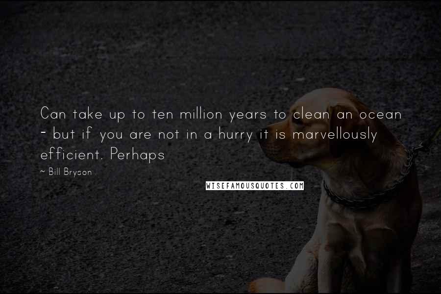 Bill Bryson Quotes: Can take up to ten million years to clean an ocean - but if you are not in a hurry it is marvellously efficient. Perhaps