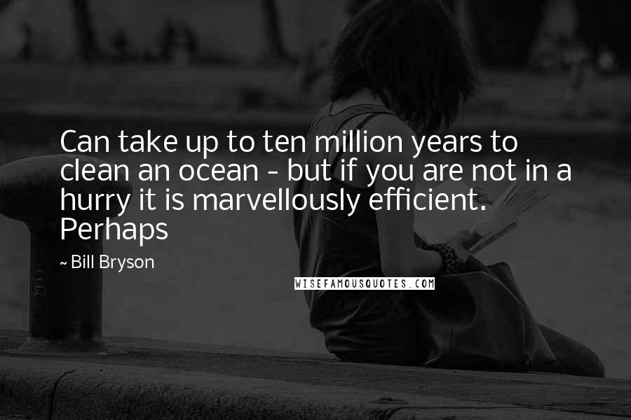 Bill Bryson Quotes: Can take up to ten million years to clean an ocean - but if you are not in a hurry it is marvellously efficient. Perhaps