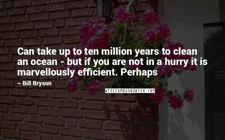 Bill Bryson Quotes: Can take up to ten million years to clean an ocean - but if you are not in a hurry it is marvellously efficient. Perhaps