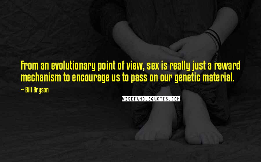 Bill Bryson Quotes: From an evolutionary point of view, sex is really just a reward mechanism to encourage us to pass on our genetic material.
