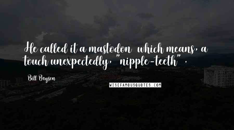 Bill Bryson Quotes: He called it a mastodon (which means, a touch unexpectedly, "nipple-teeth").