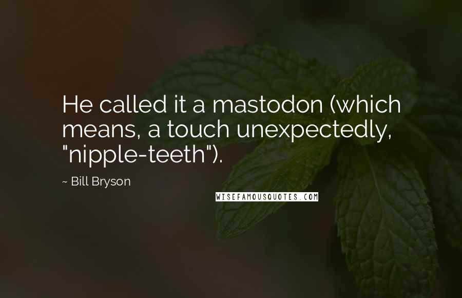 Bill Bryson Quotes: He called it a mastodon (which means, a touch unexpectedly, "nipple-teeth").