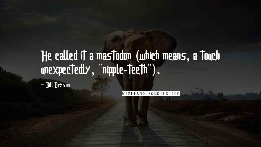 Bill Bryson Quotes: He called it a mastodon (which means, a touch unexpectedly, "nipple-teeth").