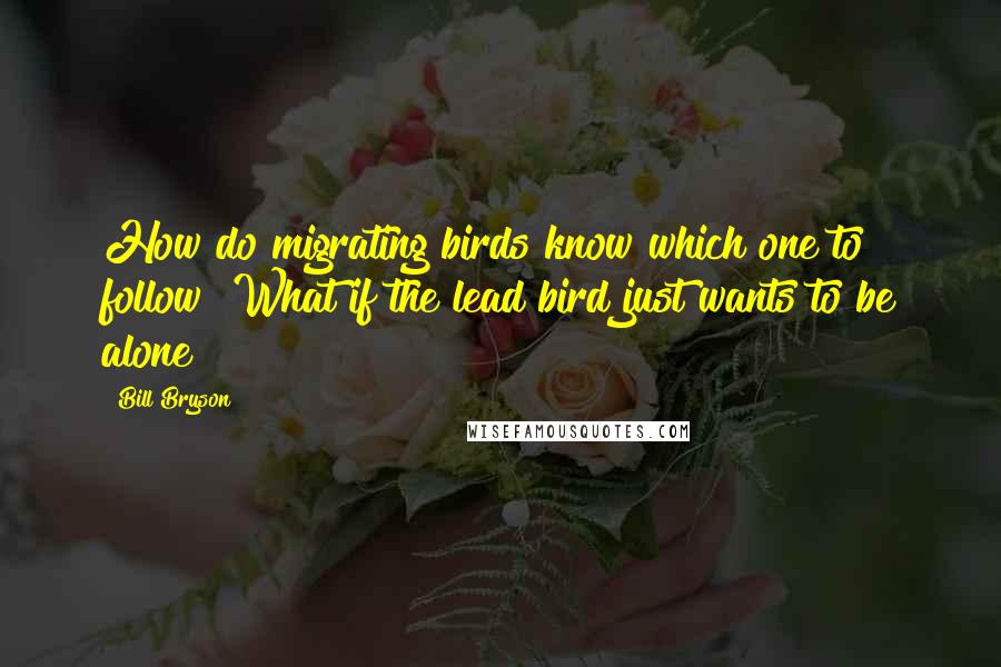 Bill Bryson Quotes: How do migrating birds know which one to follow? What if the lead bird just wants to be alone?