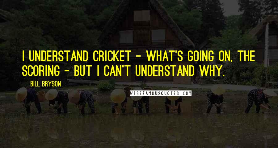 Bill Bryson Quotes: I understand cricket - what's going on, the scoring - but I can't understand why.