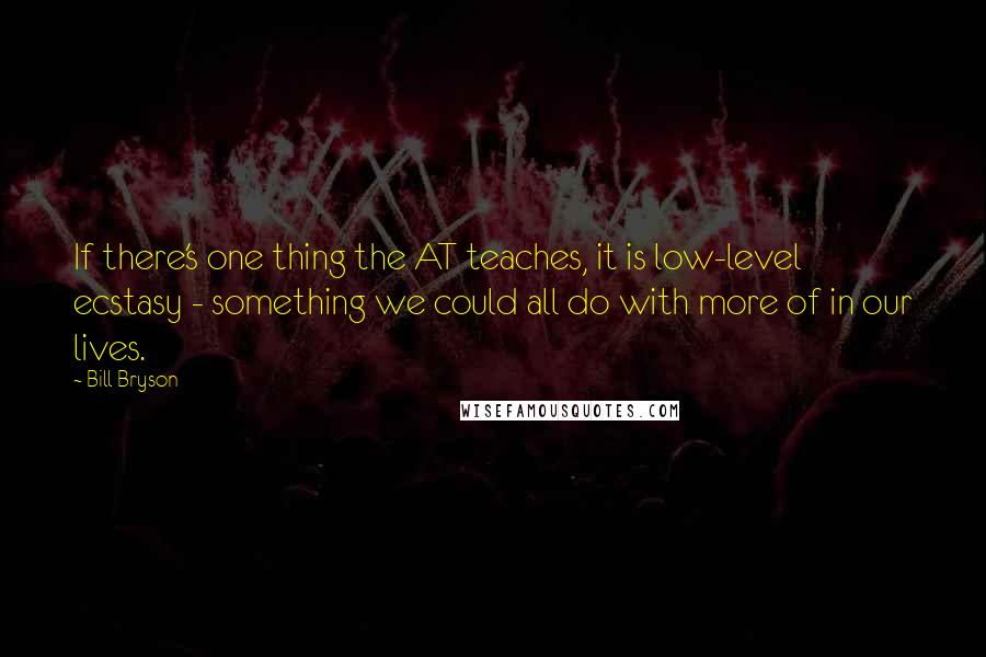 Bill Bryson Quotes: If there's one thing the AT teaches, it is low-level ecstasy - something we could all do with more of in our lives.