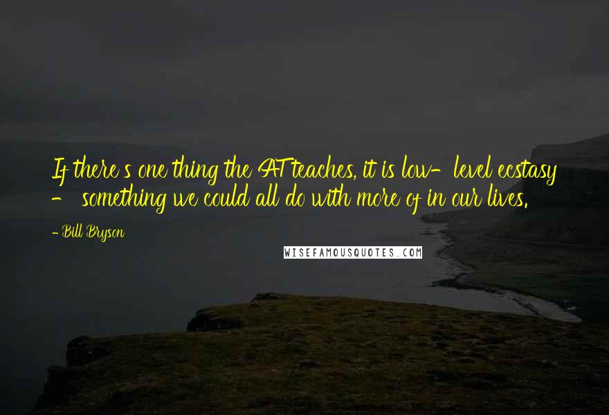 Bill Bryson Quotes: If there's one thing the AT teaches, it is low-level ecstasy - something we could all do with more of in our lives.