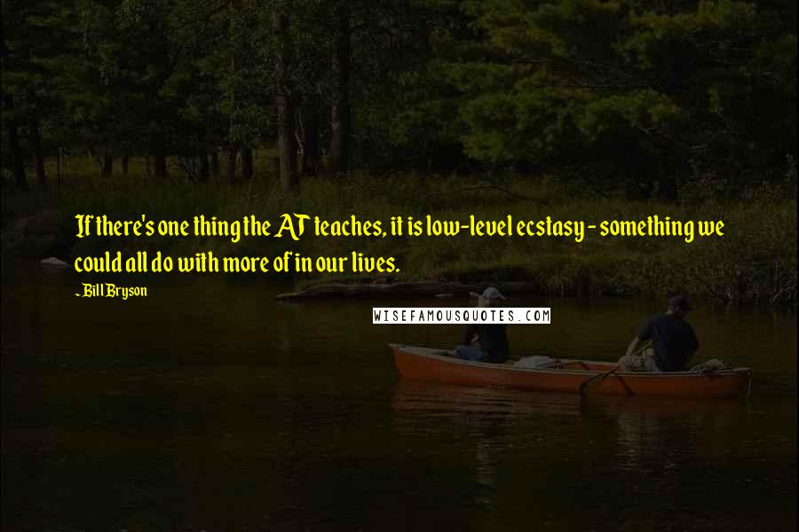 Bill Bryson Quotes: If there's one thing the AT teaches, it is low-level ecstasy - something we could all do with more of in our lives.