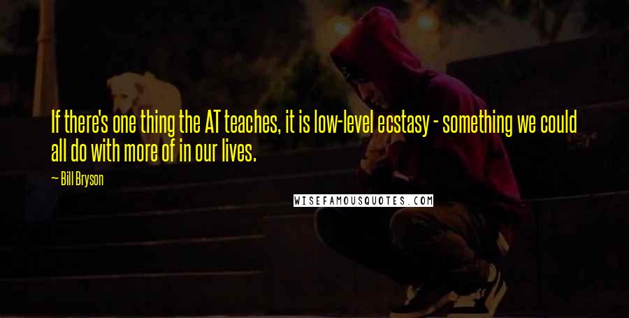 Bill Bryson Quotes: If there's one thing the AT teaches, it is low-level ecstasy - something we could all do with more of in our lives.