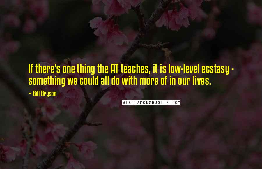 Bill Bryson Quotes: If there's one thing the AT teaches, it is low-level ecstasy - something we could all do with more of in our lives.